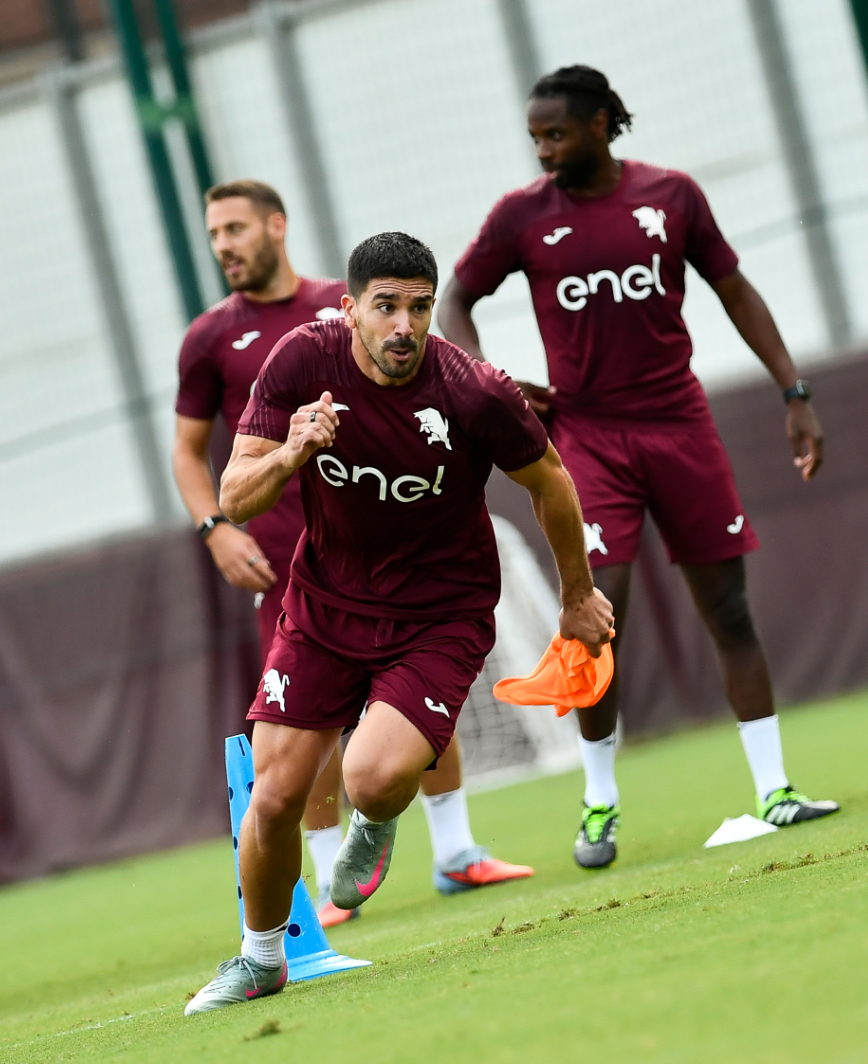 总体, 会员专区, 果负责 总体, 会员专区, 果负责