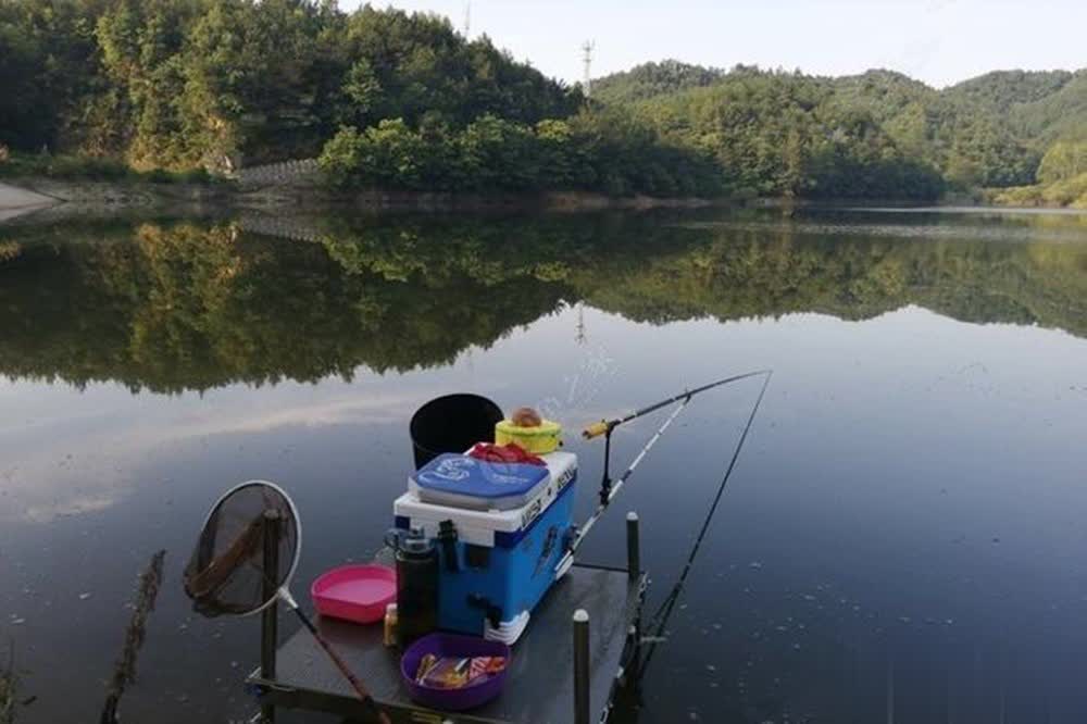 早秋酷热, 有这样几点, 集中出鱼 早秋酷热, 有这样几点, 集中出鱼