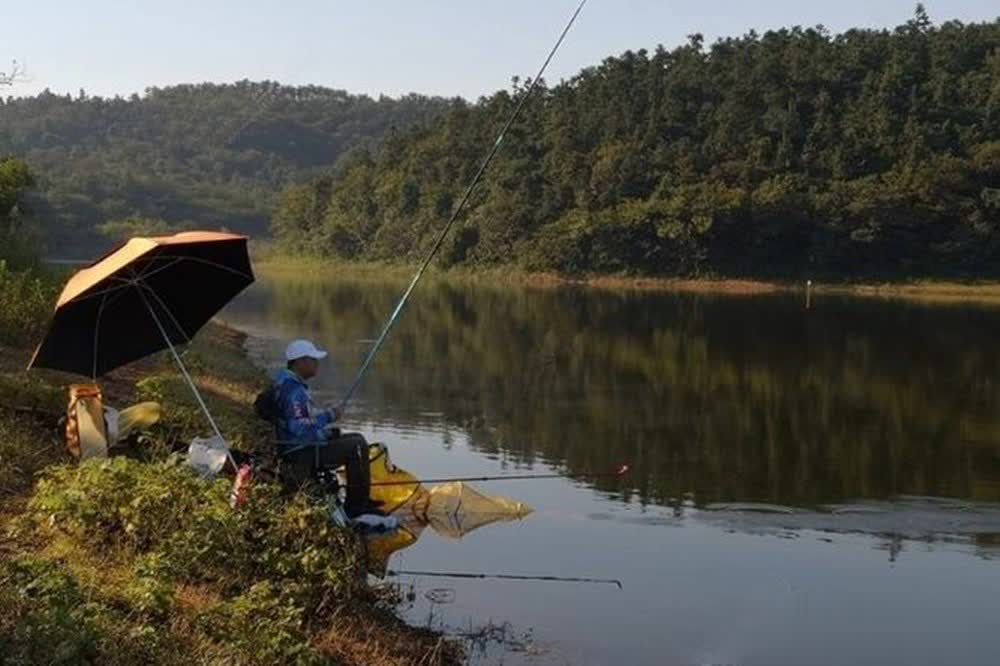 照强度, 大湾两侧 照强度, 大湾两侧
